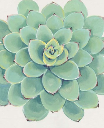 Framed Pastel Succulent III Print