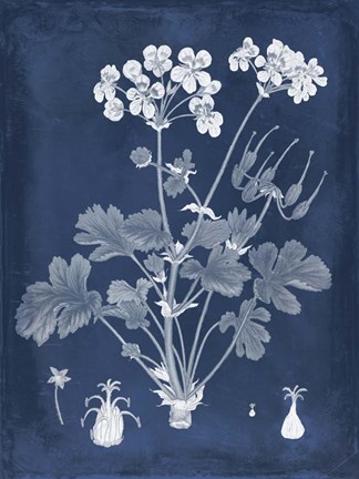 Framed Botanical in Indigo III Print