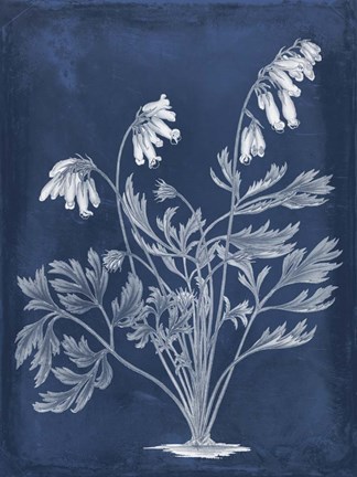 Framed Botanical in Indigo I Print