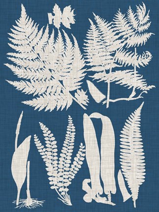 Framed Linen &amp; Blue Ferns I Print