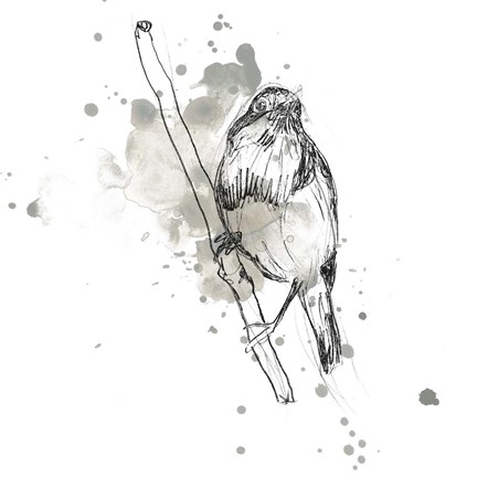 Framed Gestural Bird Study III Print