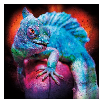 Framed Party Gecko Print