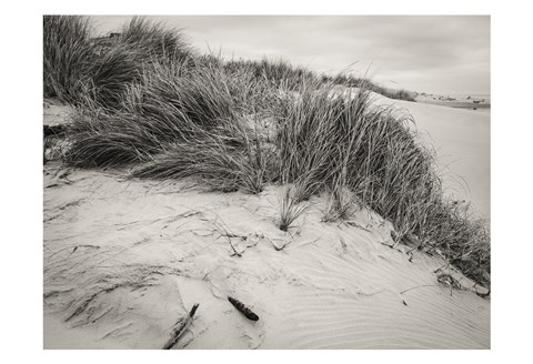 Framed Beachy Dunes Print