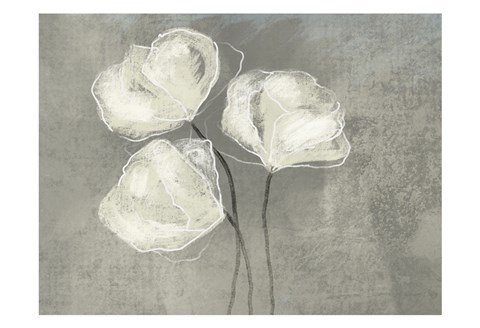 Framed Sketched White Blooms 2 Print