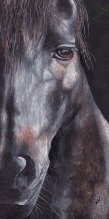 Framed Horse Black Print
