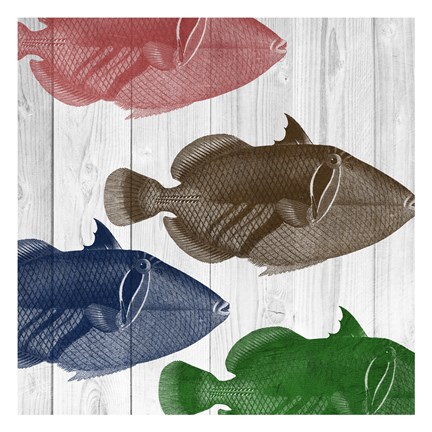 Framed Fishes Print