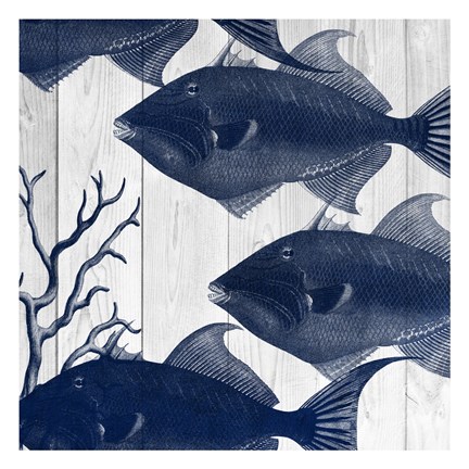 Framed Fishes 2 Print