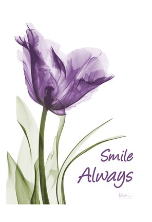 Framed Smile Smiling Tulip Print