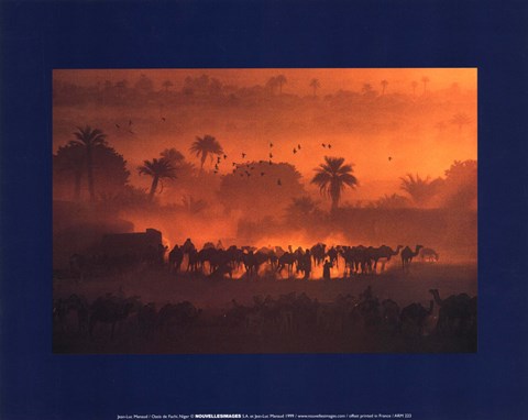 Framed luc Manaud - Oasis de Fachi, Niger Print