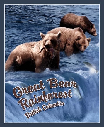 Framed Great Bear Rainforest Print