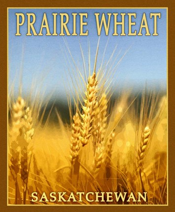 Framed Praire Wheat, Print