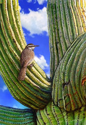 Framed Cactus Wren Print