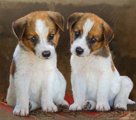 Framed Twin Puppies Print