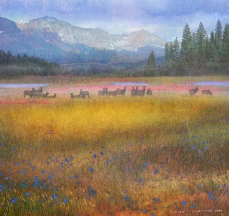 Framed Flowered Meadow Elk Print