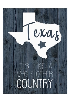 Framed Texas Country Print