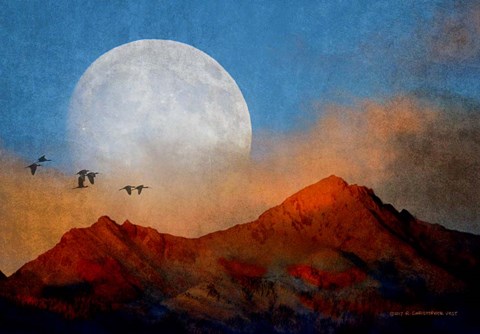 Framed Ibis Moon Print