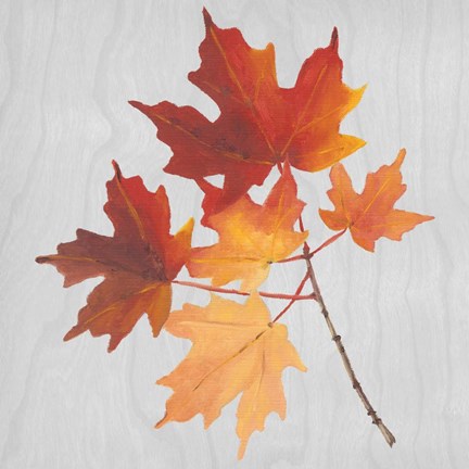 Framed Autumn Leaves IV Print
