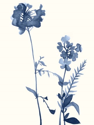 Framed Indigo Wildflowers V Print