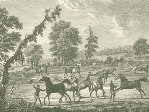 Framed Equestrian Scenes III Print