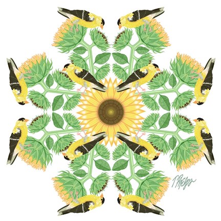 Framed Goldfinch Sunflower Mandala Print