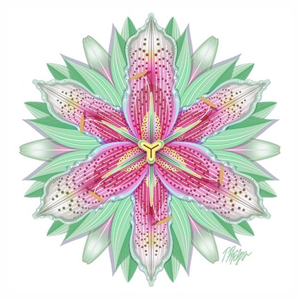 Framed Pink Tiger Lily Mandala Print