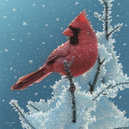 Framed Cardinal - Cherry on Top Print