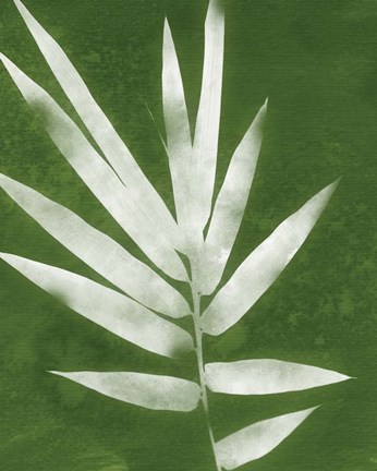 Framed Green Spa Bamboo II Print
