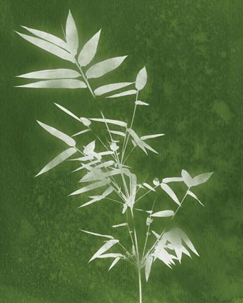 Framed Green Spa Bamboo III Print