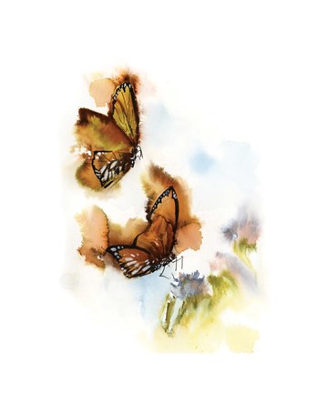 Framed Butterflies V Print