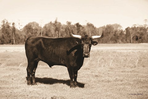 Framed Bull in Sepia Print