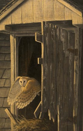 Framed Out of the Darkness - Barn Owl Print