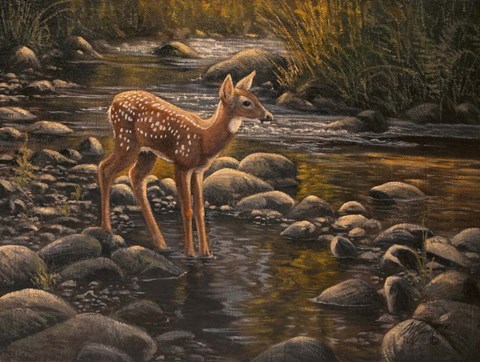 Framed Water&#39;s Edge - Fawn Print