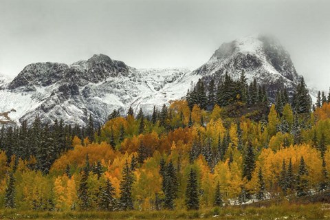 Framed Rocky Mountain Autumn Print