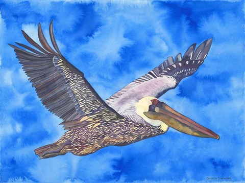 Framed Flying Pelican Print