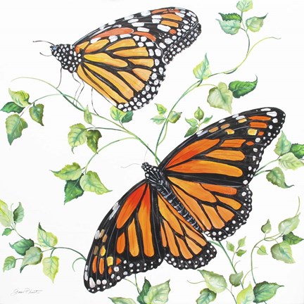 Framed Summertime Butterflies B Print
