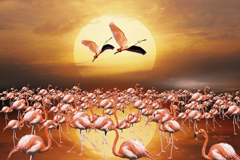 Framed Flamingo Land 2D Print