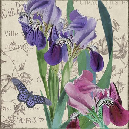 Framed Vintage Flowers III Print