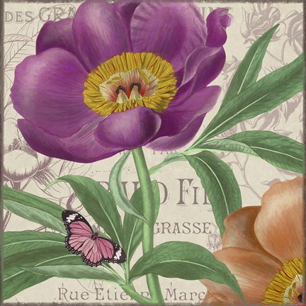 Framed Vintage Flowers IV Print