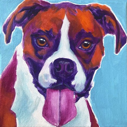 Framed Boxer - Lucy Print
