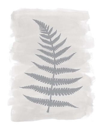 Framed Fern2 F Print