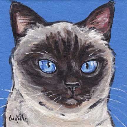 Framed Cat Siamese On Blue Print