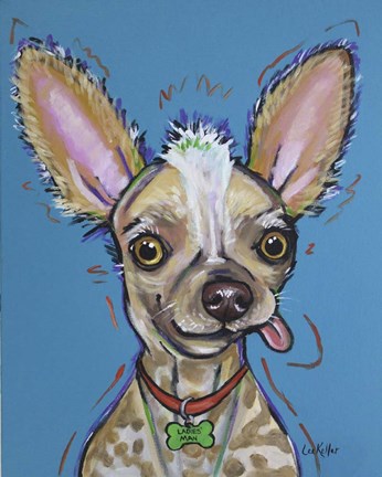 Framed Chinese Crested Spike Print