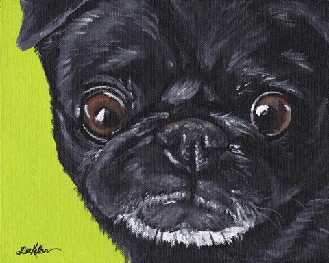 Framed Black Pug On Green Print