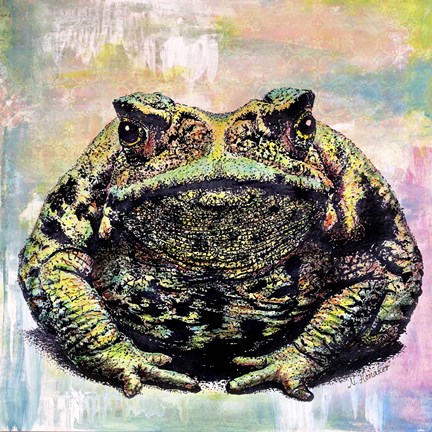 Framed Toad Color Print