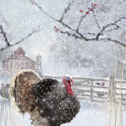 Framed Christmas Turkey Print