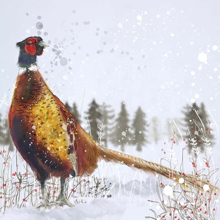 Framed Christmas Pheasant Print