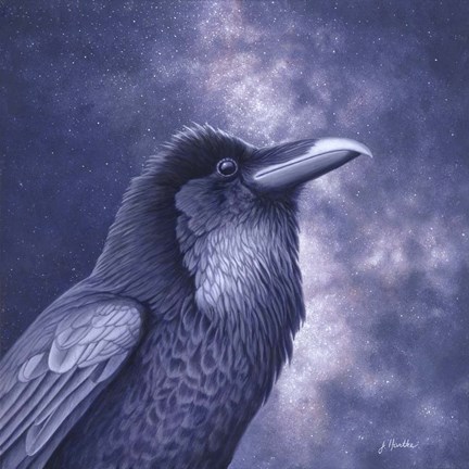 Framed Raven Air Print