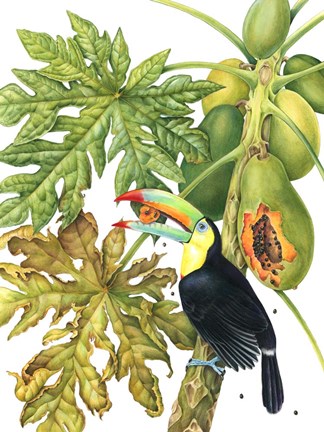 Framed Toucan in Papaya Tree Print
