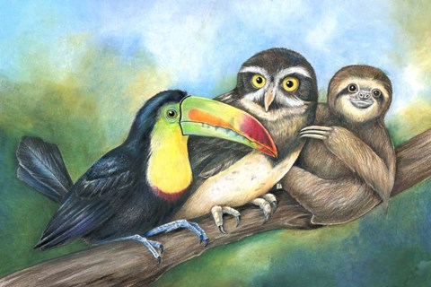 Framed Toucan Owl Sloth Print
