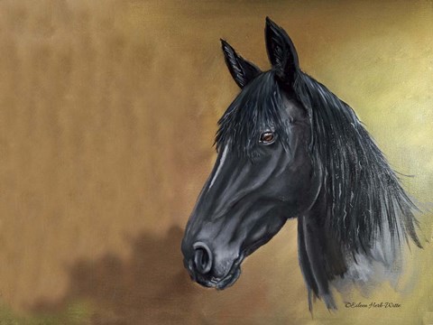 Framed Black Horse Portrait Print